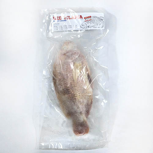 베트남 레드틸라피아1p.jpg