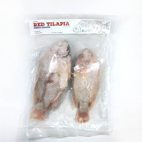 베트남 레드틸라피아2p900g.jpg