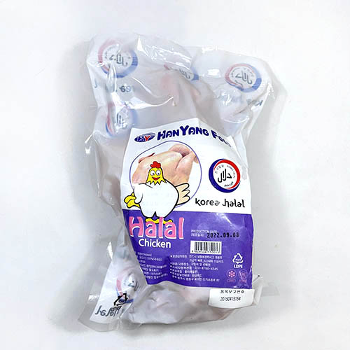 한국 육계통마리.jpg