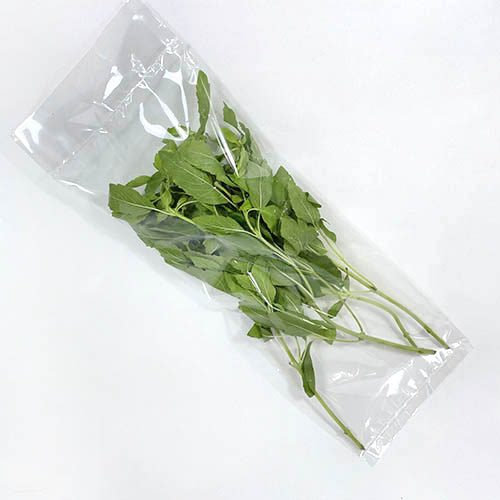 한국 가파오.jpg