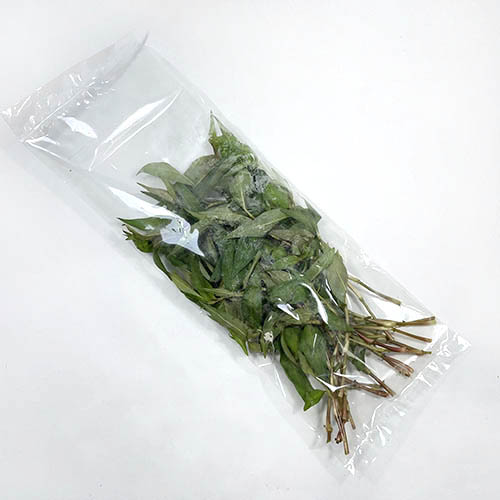 한국 라우람.jpg