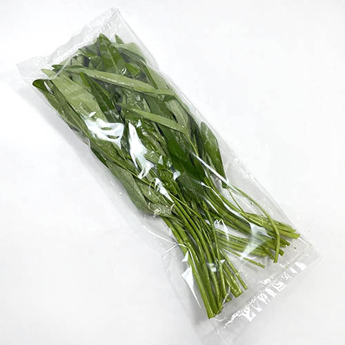 한국 모닝글로리(박봉).jpg