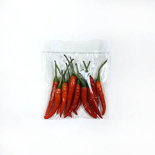 한국 생고추.jpg