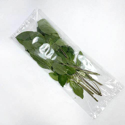 한국 훌라파.jpg